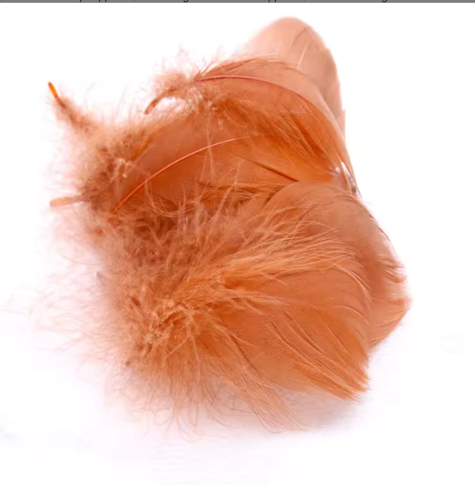 Dyed Feathers