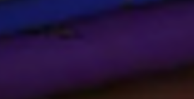 Dragonfly Royal Jacquard Fabric